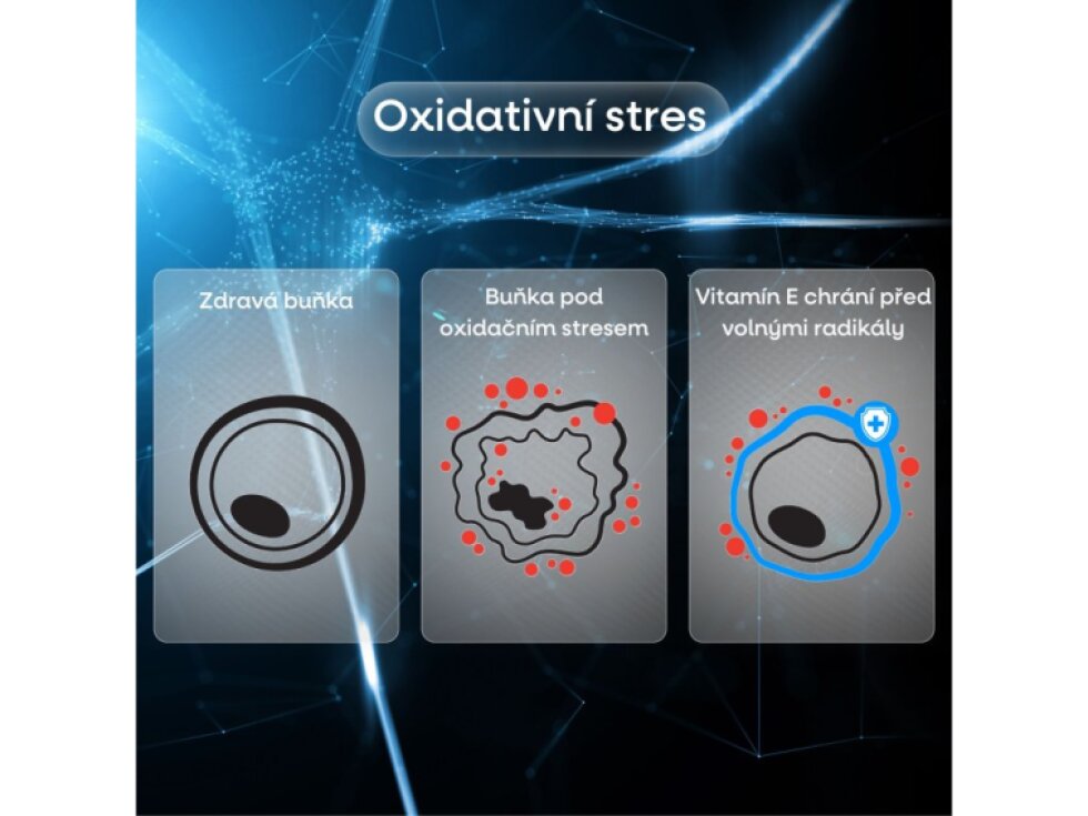 BrainMax Best Vitamin E Complex Tokotrienoly v přírodní formě 90 rostlinných kapslí