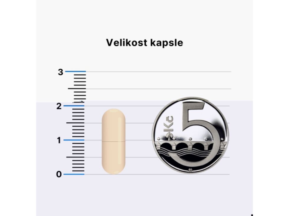 BrainMax N – Acetyl – L – Cysteine NAC 100 rostlinných kapslí