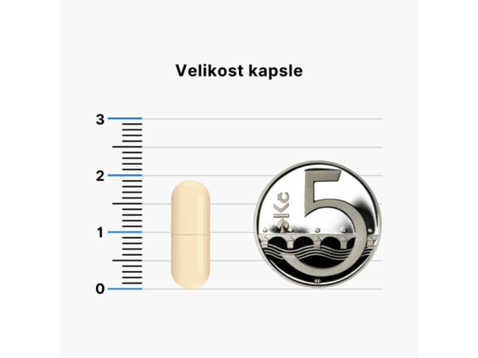BrainMax Spermidine Chlorella 2,5 mg 100 rostlinných kapslí