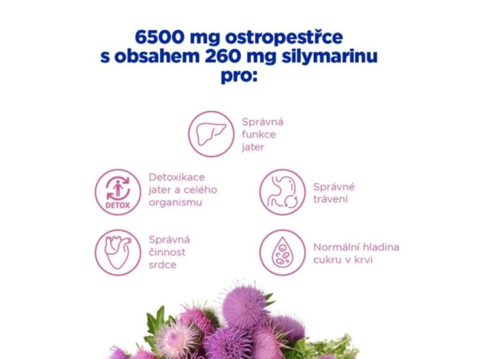 GS Extra Strong Multivitamin 50+ XXL 120+20 tbl.
