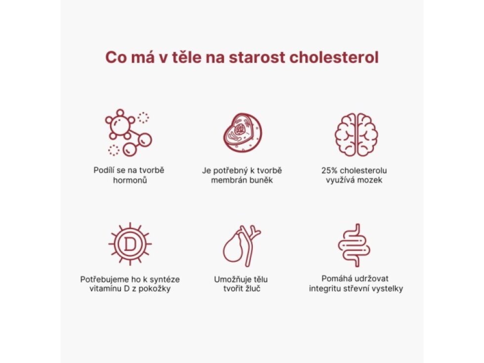 BrainMax Artichoke Extract 500 mg 100 rostlinných kapslí