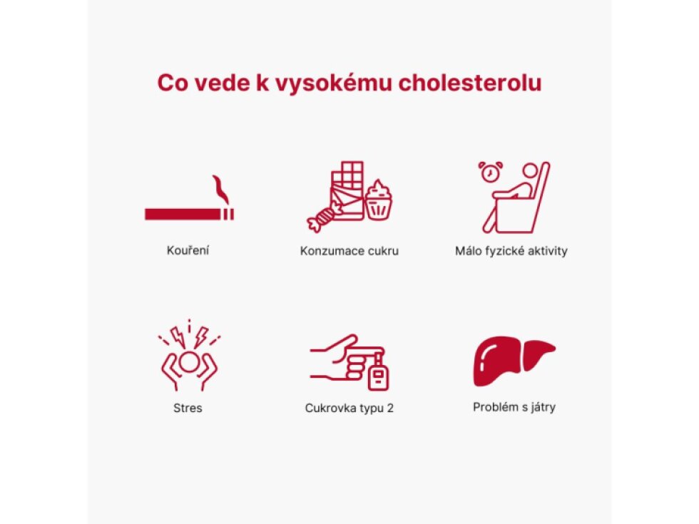 BrainMax Cholesterol Support 100 rostlinných kapslí