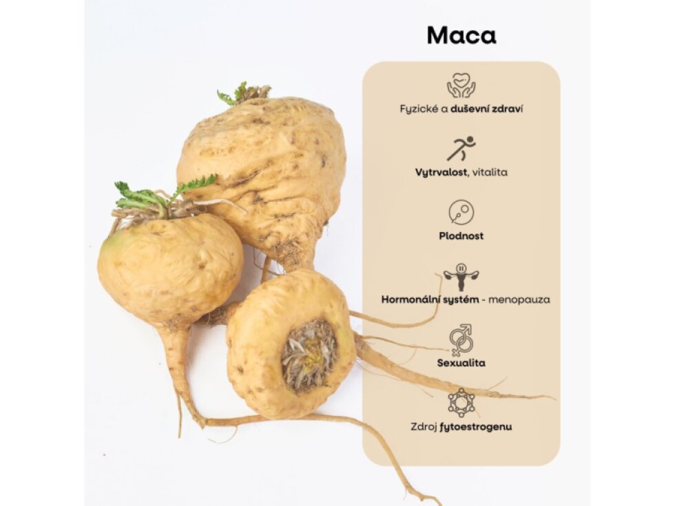 BrainMax Ultimate Tribulus Complex 60 rostlinných kapslí