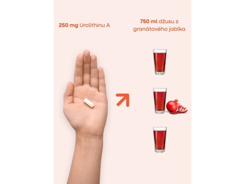 BrainMax Enhanced Urolithin A 60 rostlinných kapslí