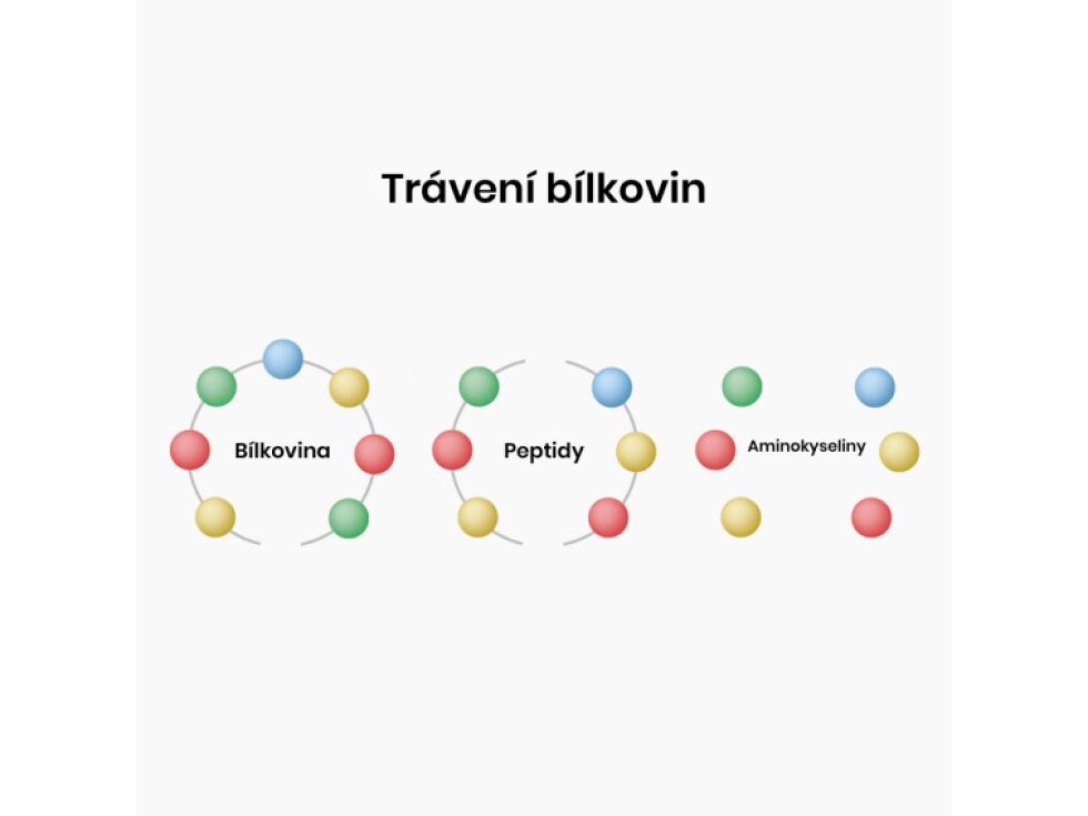 BrainMax Betaine HCl Betain HCl a hořec žlutý 700 mg 90 kapslí