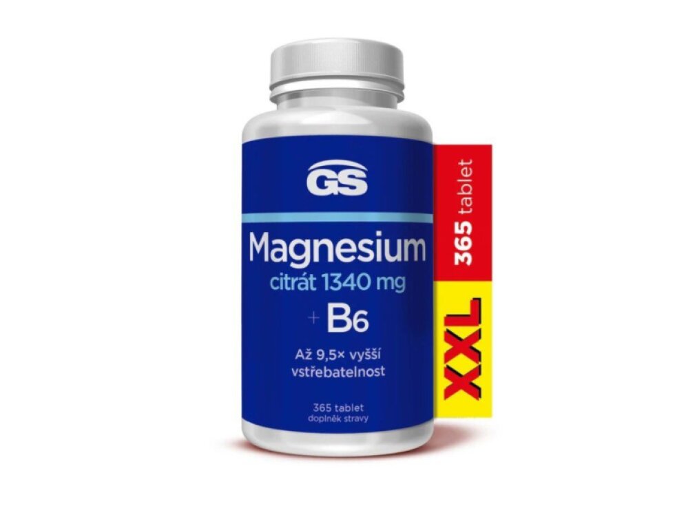 GS Magnesium citrát 1340 mg+B6 XXL 365 tbl.