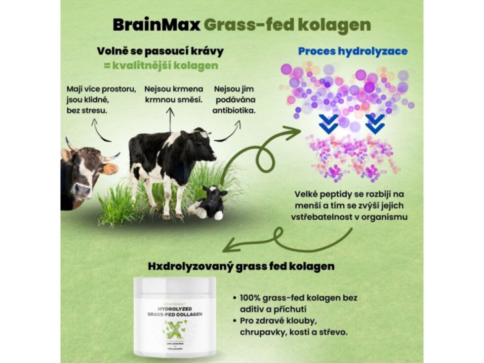 BrainMax Hydrolyzovaný Kolagen Grass – fed Collagen 400 g