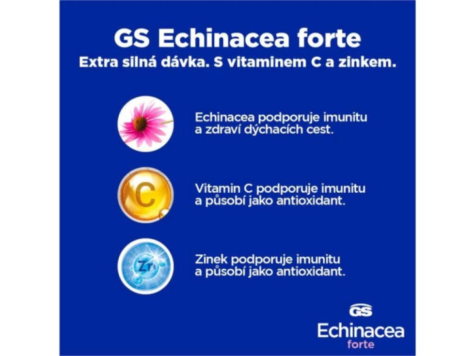 GS Echinacea forte 600 mg XXL 90+20 tbl