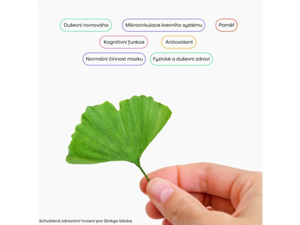 BrainMax Acetyl L – Carnitine 500 mg 100 rostlinných kapslí