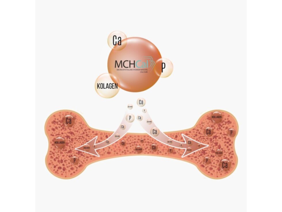 BrainMax Bone Complex podpora zdraví kostí 90 rostlinných kapslí