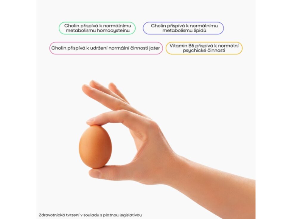 BrainMax VitaCholine® & Inositol 100 rostlinných kapslí