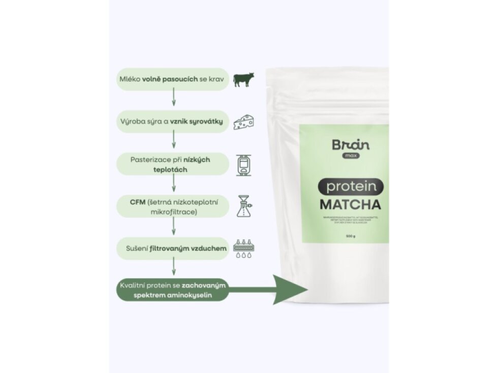 BrainMax Matcha Protein, 500 g