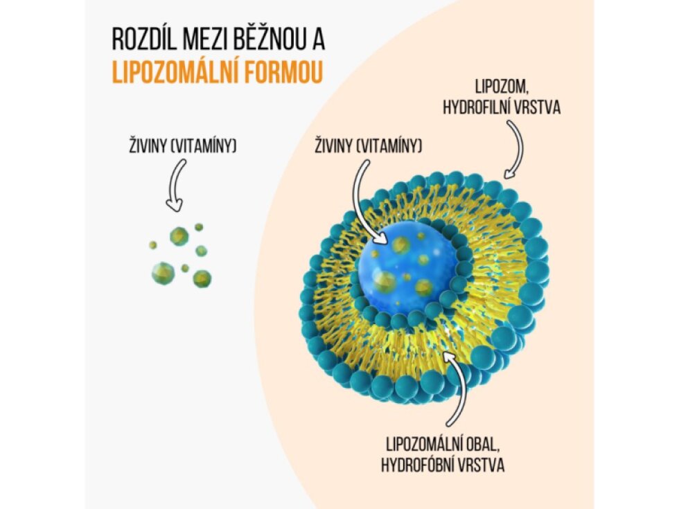 BrainMax IMMUNIZER!® 60 rostlinných kapslí