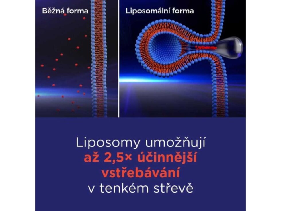 GS Vitamin Lipo C 500 mg se šípky XXL 100+10 kapslí