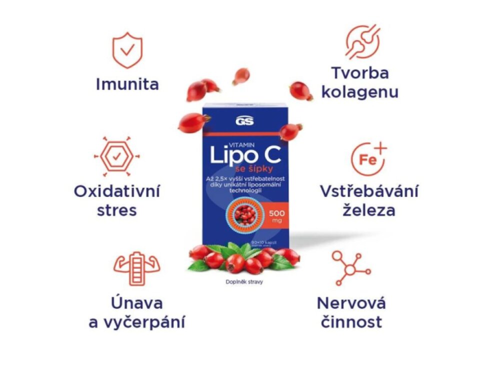 GS Vitamin Lipo C 500 mg se šípky XXL 100+10 kapslí