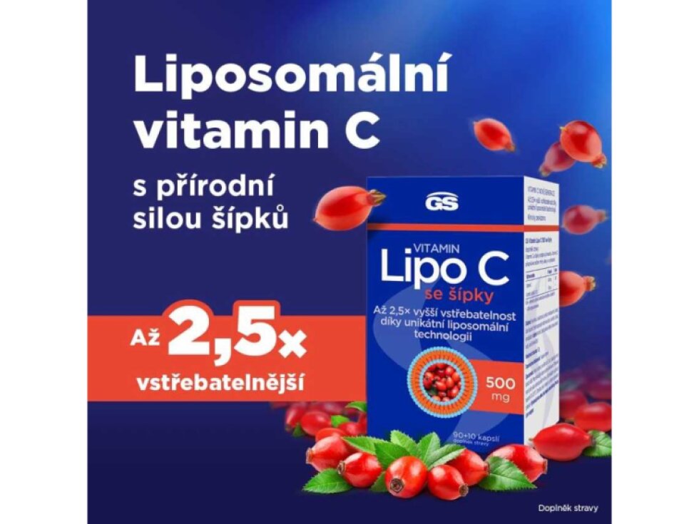 GS Vitamin Lipo C 500 mg se šípky XXL 100+10 kapslí