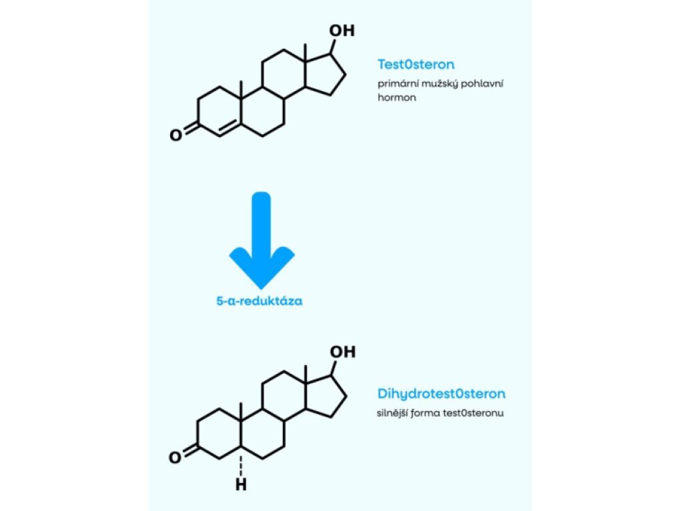 BrainMax Prostate Support 150 rostlinných kapslí