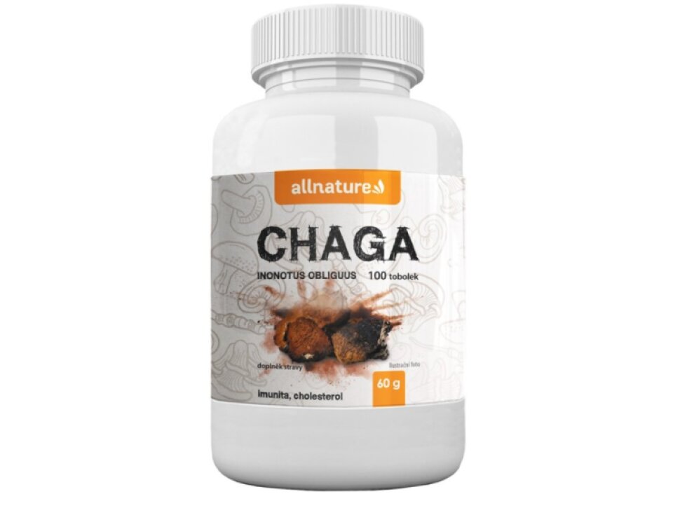 Allnature Chaga 100 kapslí
