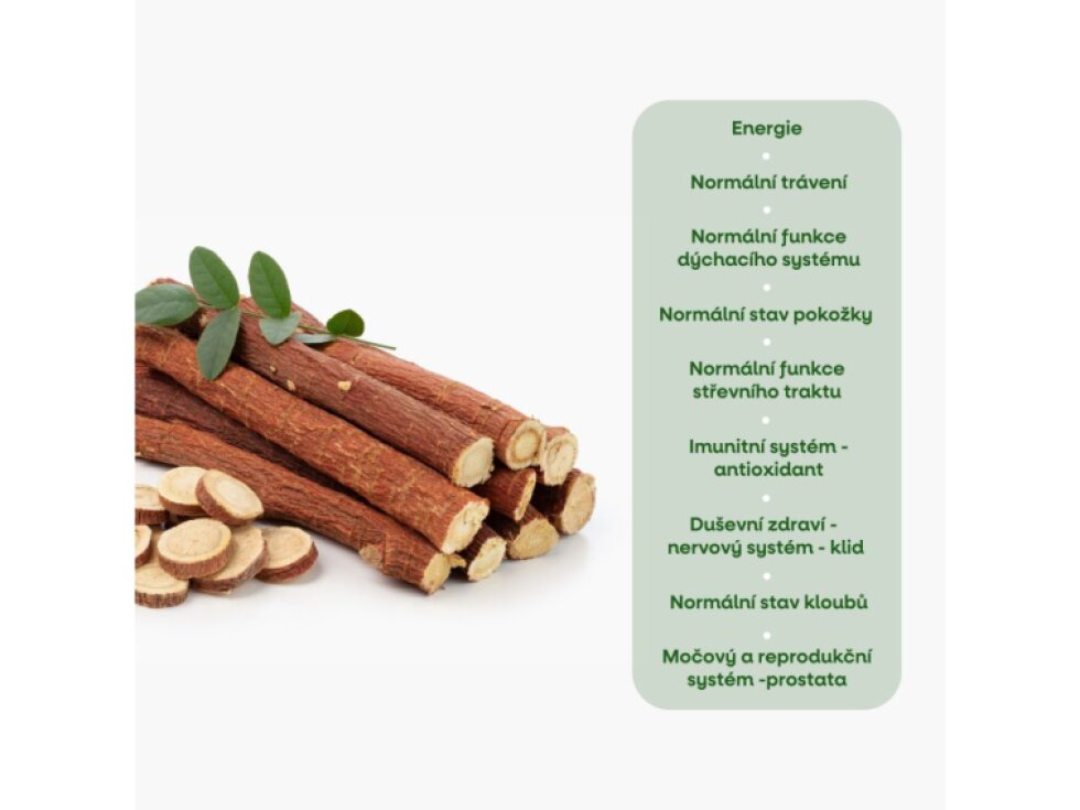 BrainMax Gut Healing Střeva a trávení 180 rostlinných kapslí