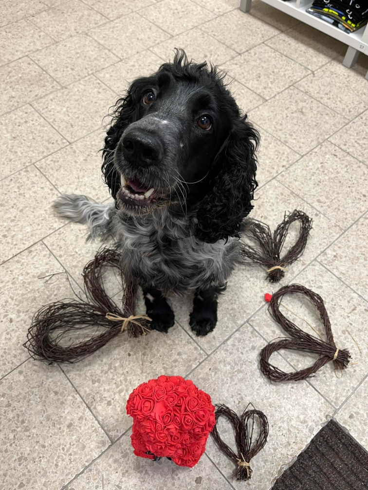 Zážitky, které nesundáš. Jak si si užít Valentýna a co si vzít na sebe?