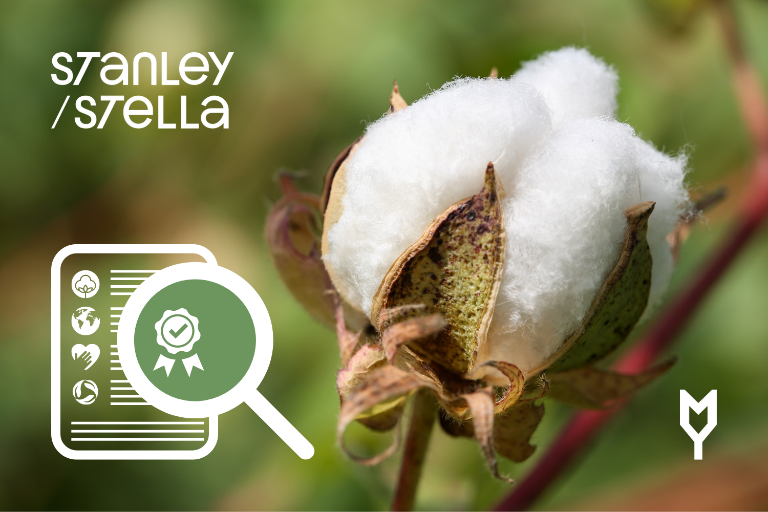 Udržitelná móda není drahá. Je spravedlivá. A Stanley/Stella to dokazuje.