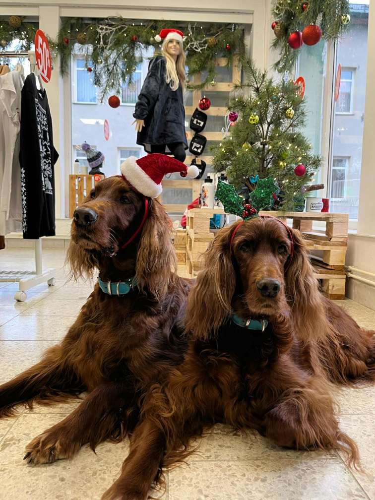 Prosincové shrnutí: Děkujeme a těšíme se na rok 2025!