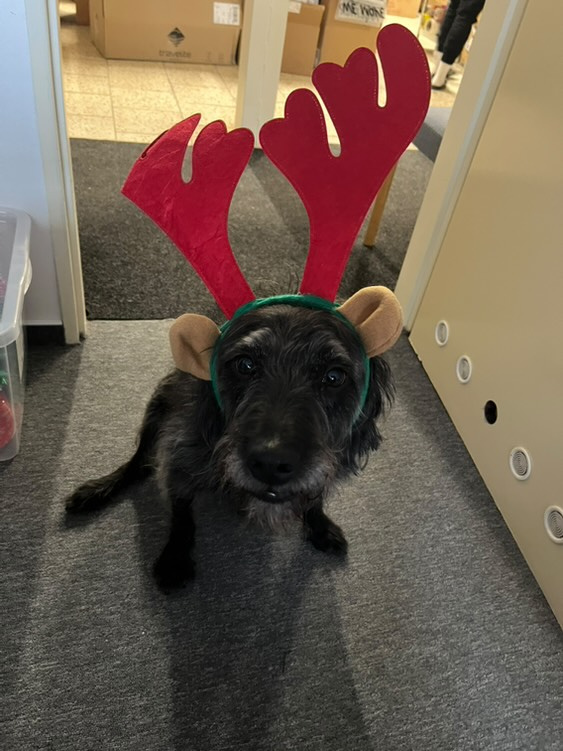 Ještě nemáš dárky? My máme a dáme!