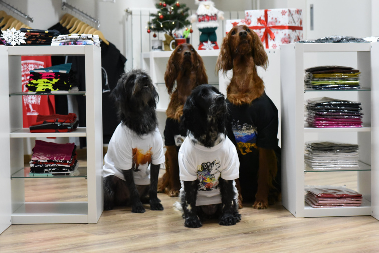 Nový rok, stará LANIGA