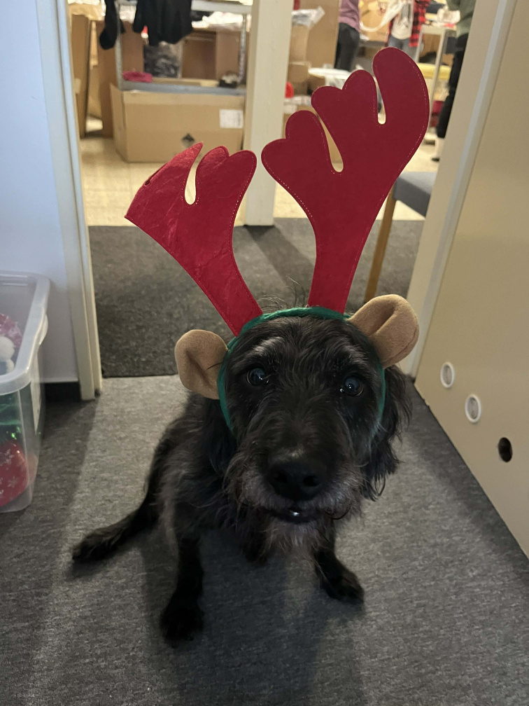 LANIGA ohlédnutí za rokem 2025