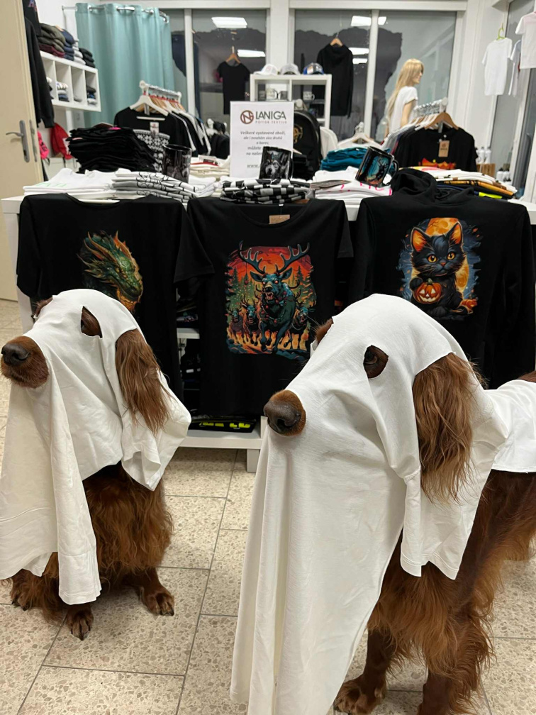 Říjen v kostce! Co se odehrálo v naší firmě LANIGA?