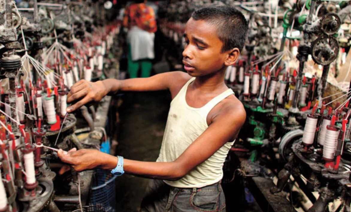 Udržitelná móda není drahá. Je spravedlivá. A Stanley/Stella to dokazuje.