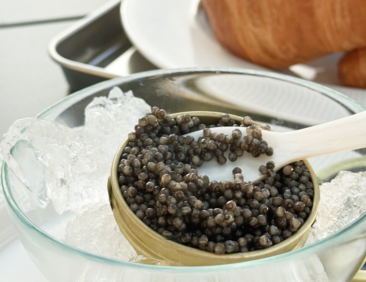 Kaviár z jesetera Bester