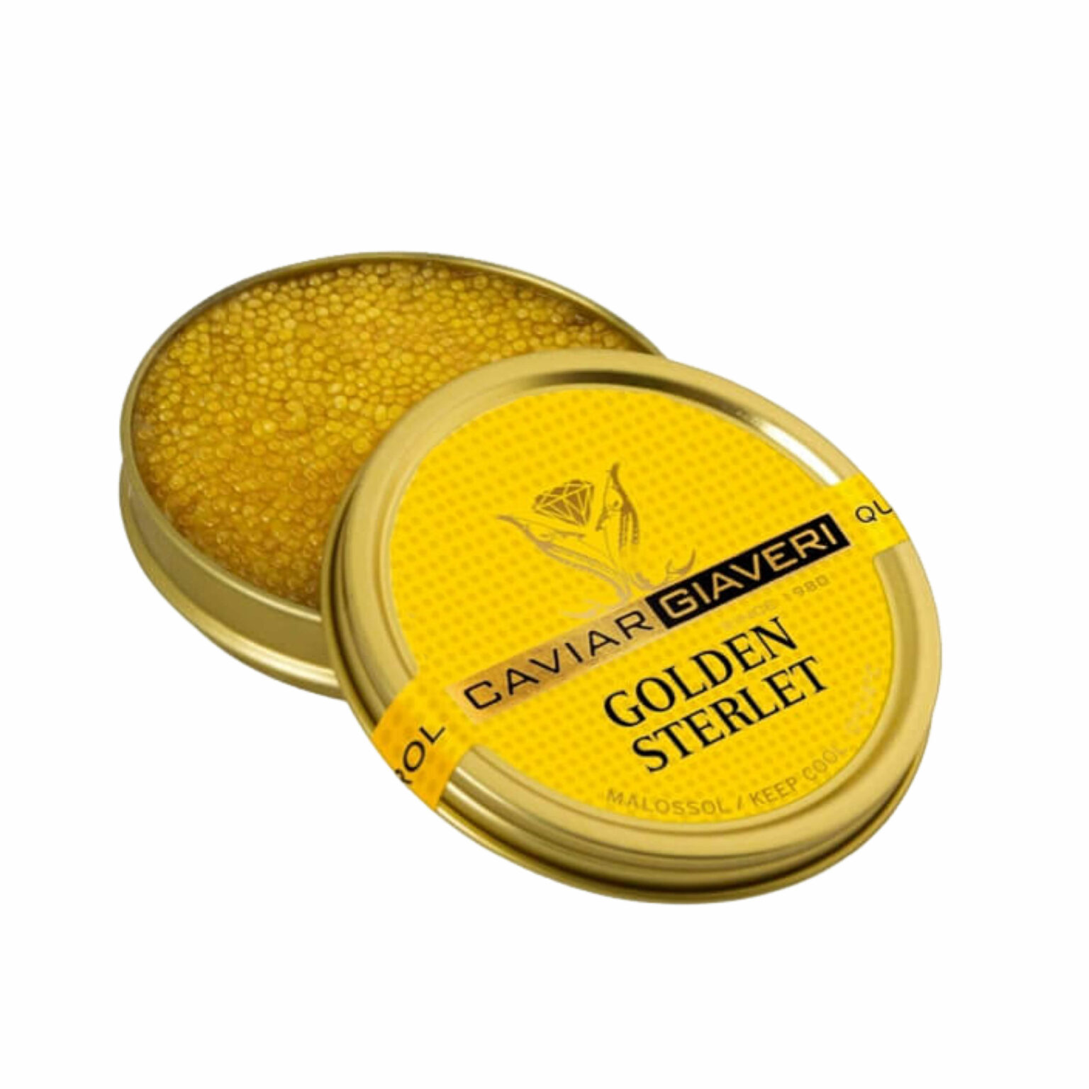 Golden Sterlet – zlatý kaviár z albínského jesetera