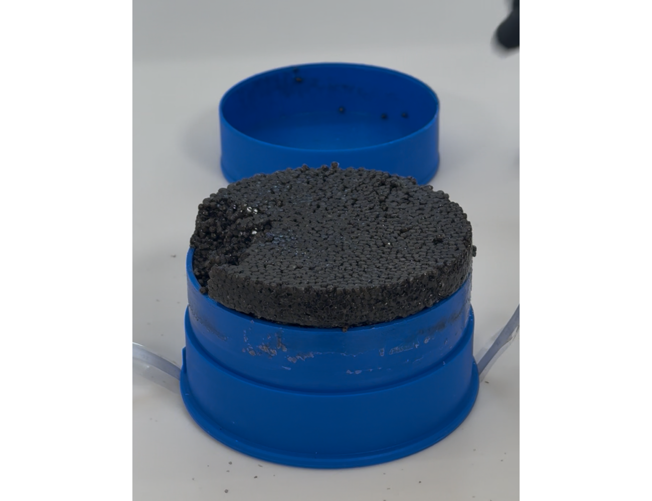 Kaviár z jesetera Persicus