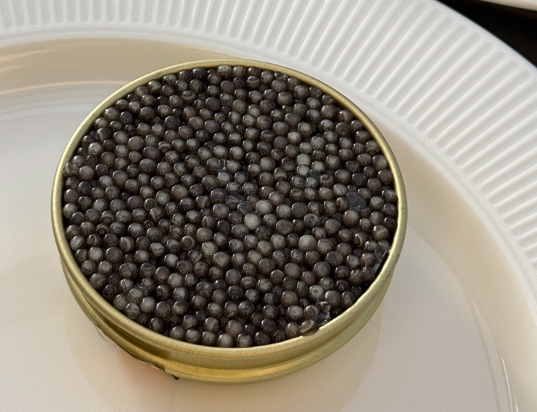 Kaviár z Ruského jesetera