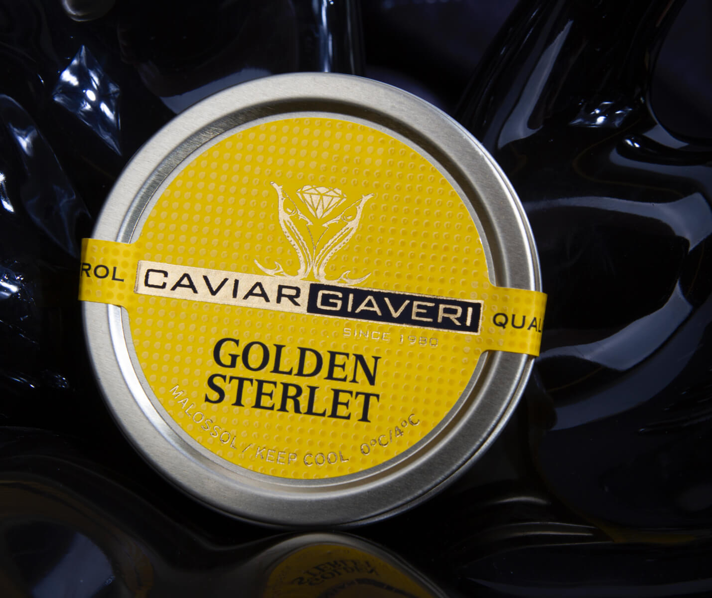 Golden Sterlet – zlatý kaviár z albínského jesetera