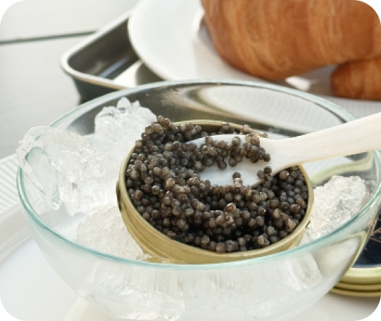 Kaviár z lososa Gorbuša, 200g