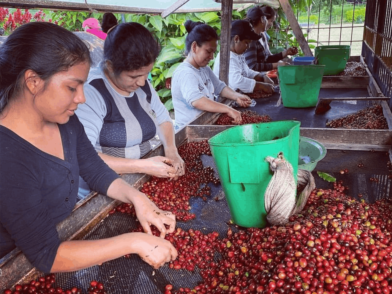 Daniela Duque: Vést farmu jako žena znamená otevírat dveře dalším generacím