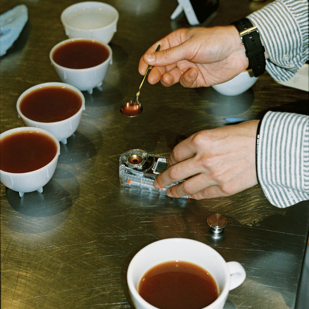 Femme cafale: Ženy, které měnily svět kávy