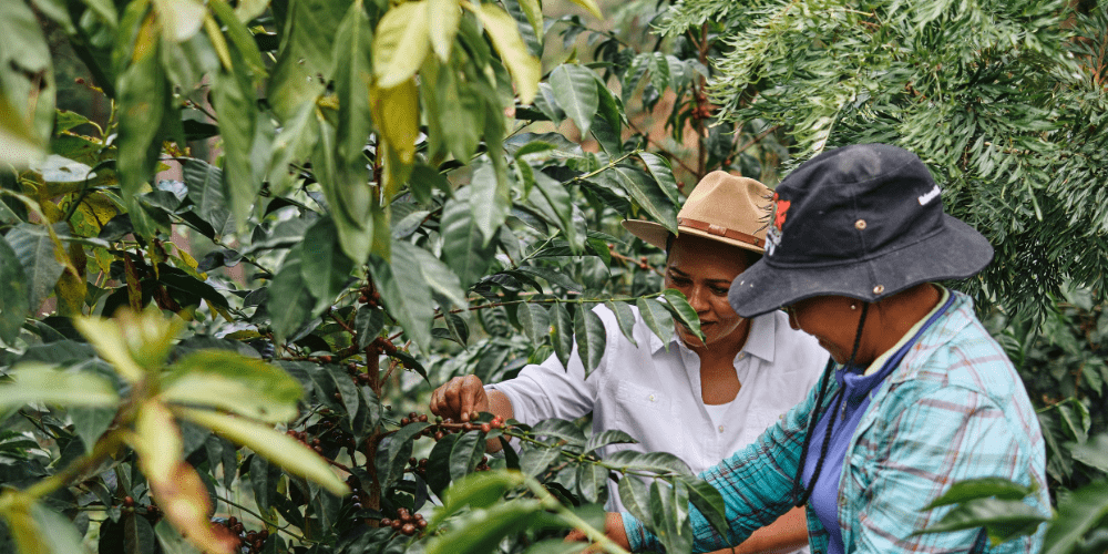 Honduras Marysabel & Moises SL28