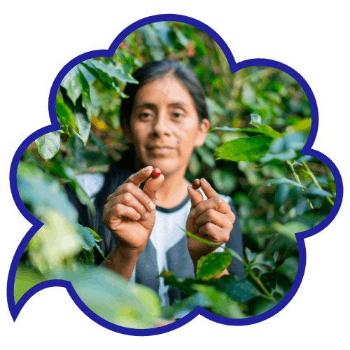 Peru Mestiza