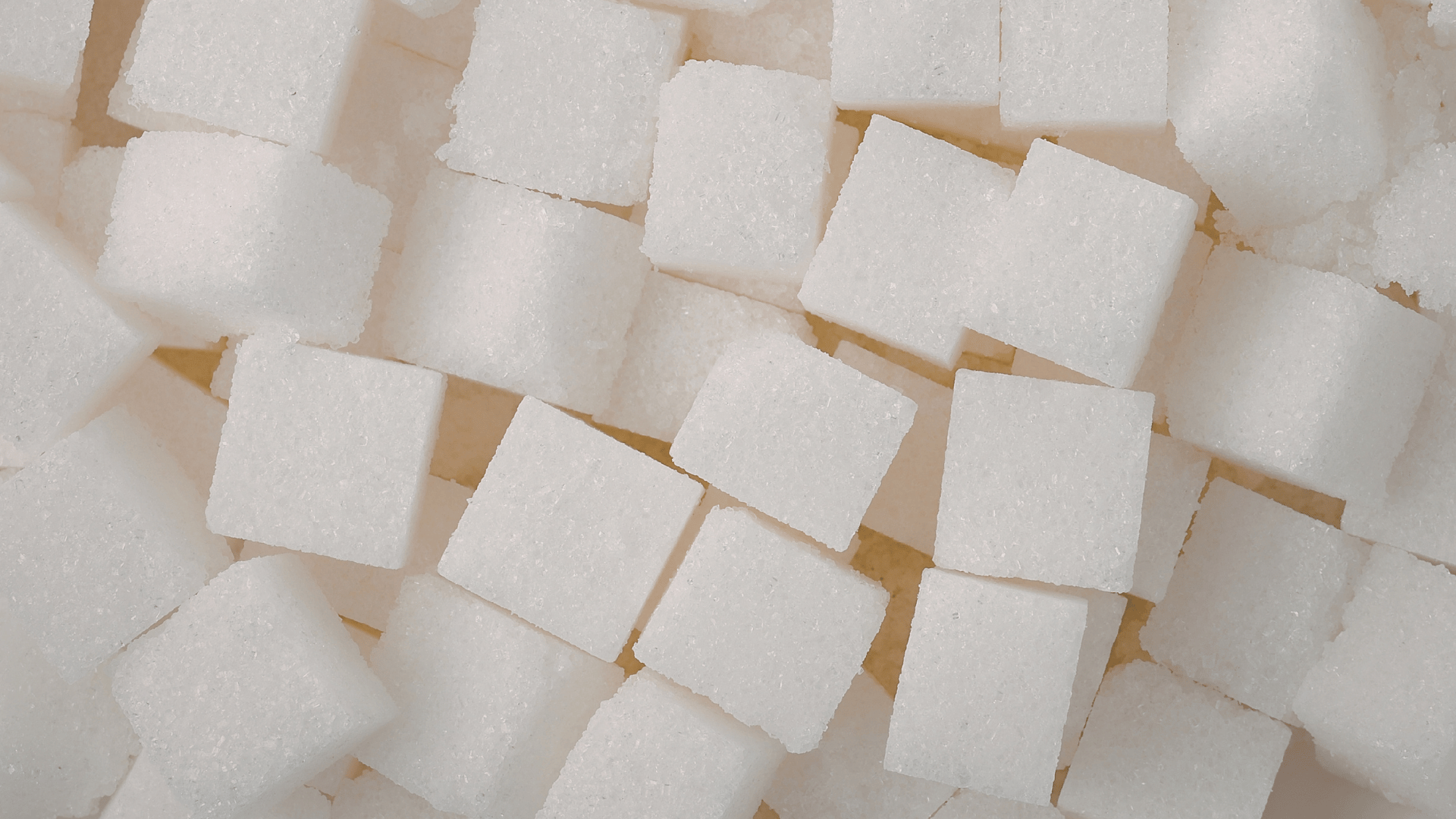 Femme cafale: Ženy, které měnily svět kávy