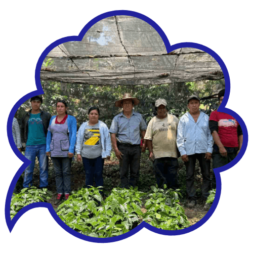 Mexiko Finca Santoli