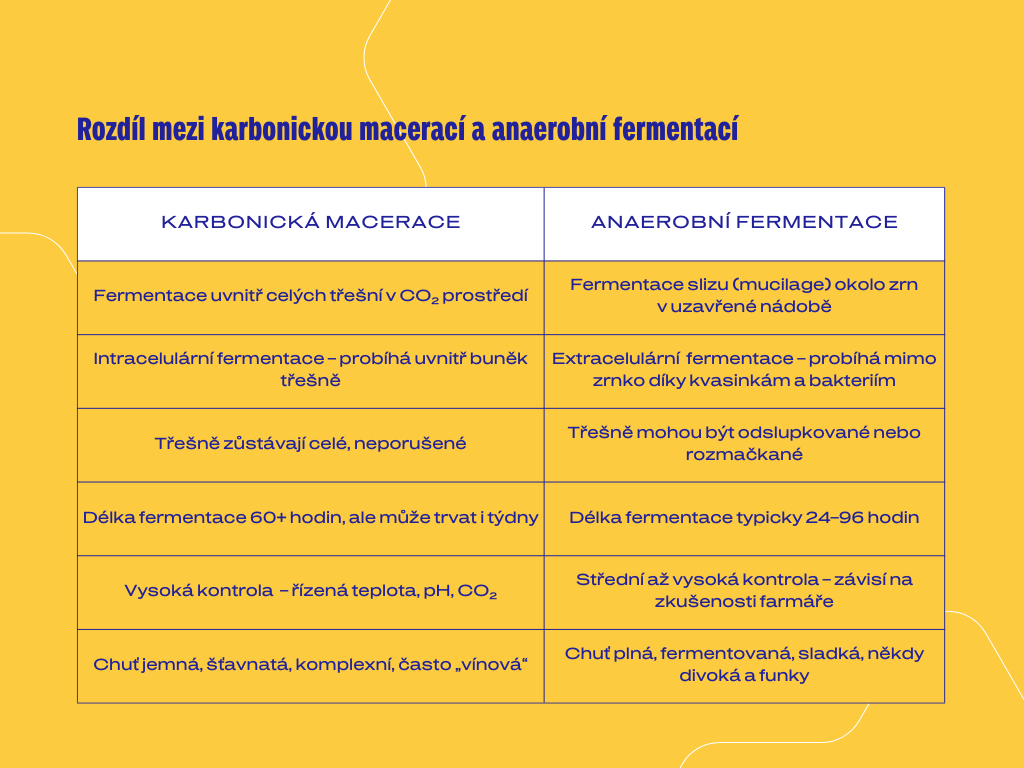 Karbonická macerace v kávě