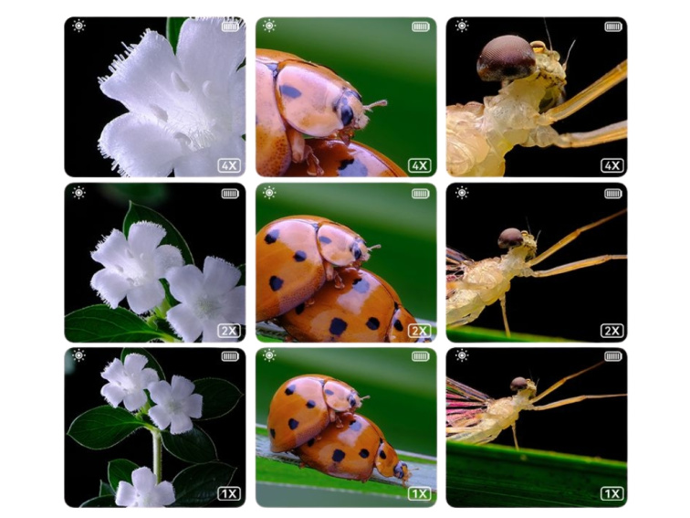 Digitální mikroskop pro děti Kočička - růžová