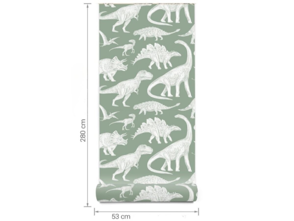 Tapeta Dinosauří svět - matcha