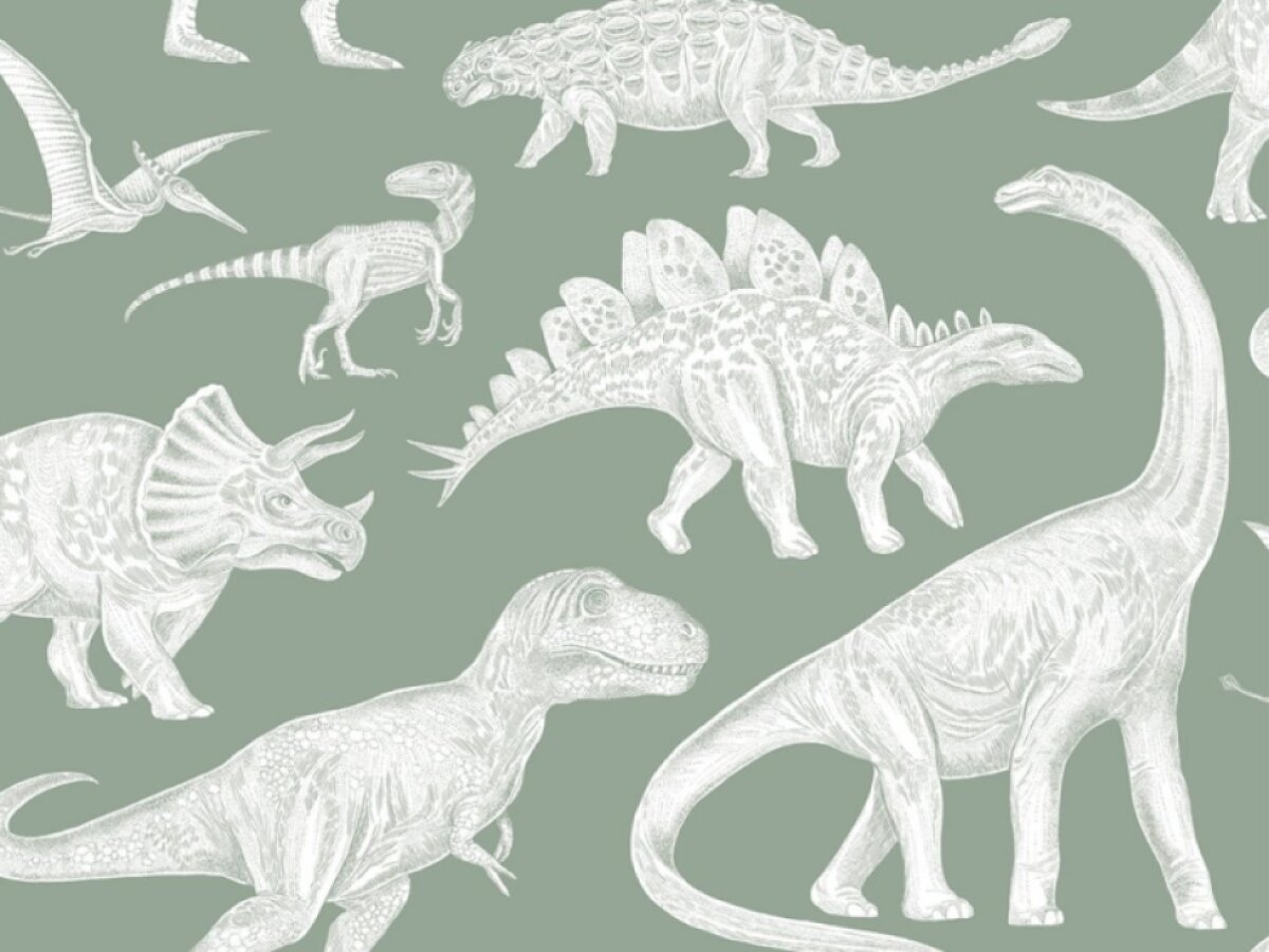 Tapeta Dinosauří svět - matcha