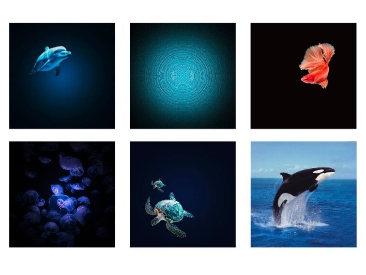 Kidystar - óceánélet projektor - zöld