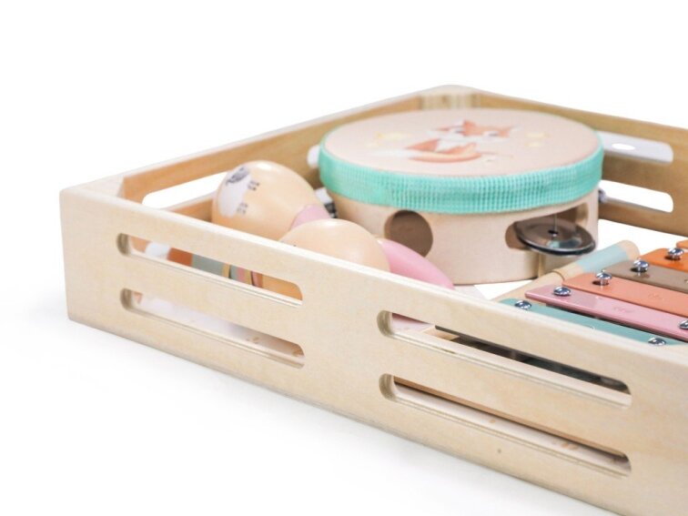 Sada hudebních nástrojů pro děti - zvířátka