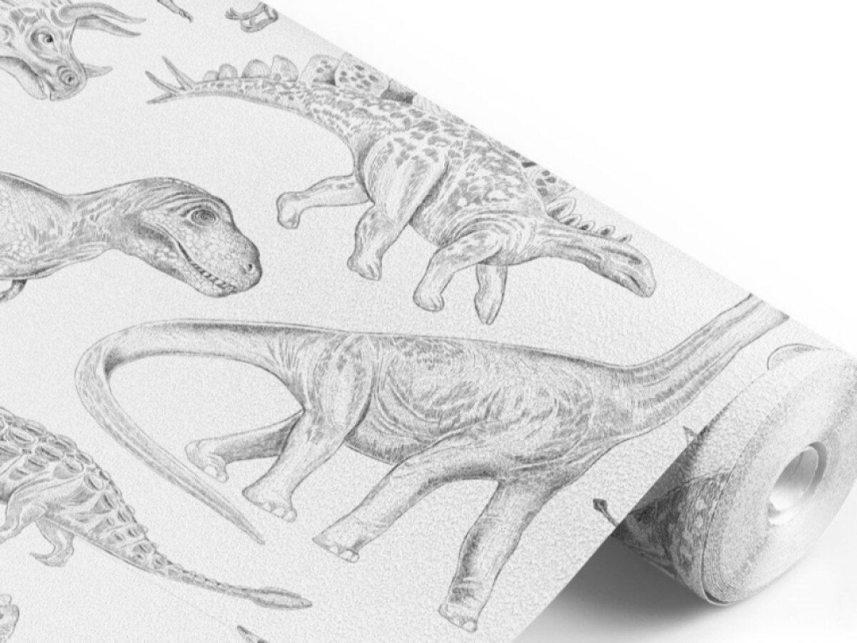 Tapeta Dinosauří svět